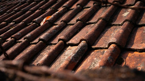 Clay/Terracotta Tile Roofs